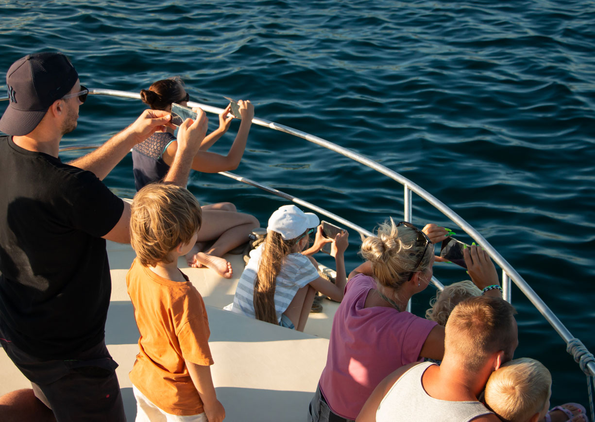 OUR TOURS